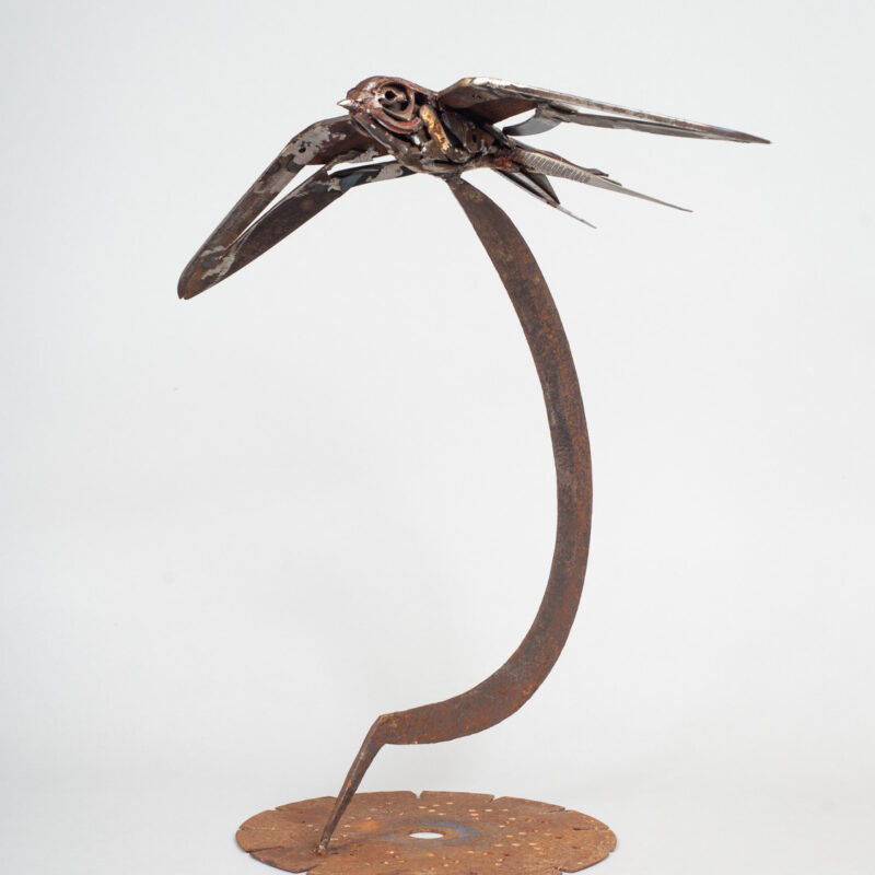   Tweezer Tailed Swallow by Harriet Mead