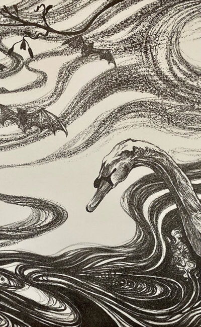 Georgina Coburn, Swan Midges Pipistrelles and Brown Trout; stone lithograph on Japanese paper, 32 x 46cm