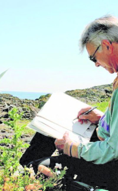 John Busy drawing terns on the Isle of May